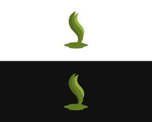 Logo Design by bcerblin for DIT Web Solutions Inc. | Design: #20393210