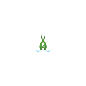 Logo Design by Rusty Circle for DIT Web Solutions Inc. | Design #20386323