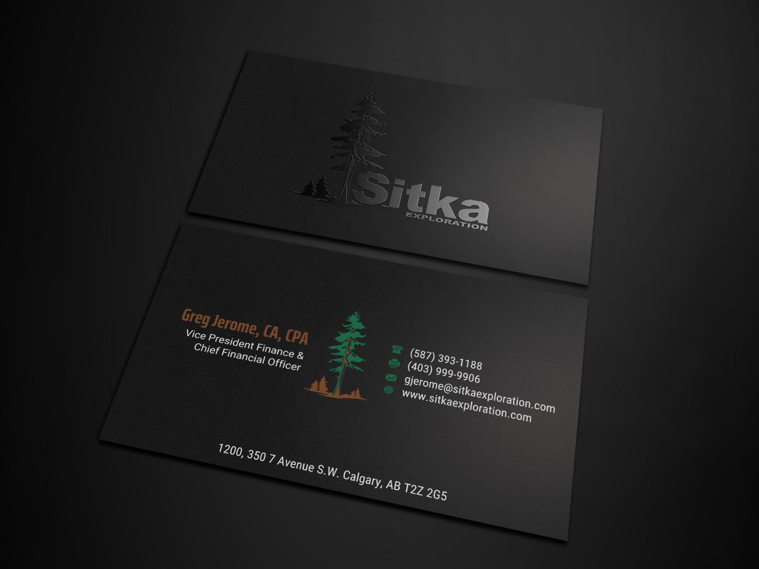 Design de Carte de Visite par INDIAN_Ashok pour Wine Club - Sitka Exploration Ltd. | Design #20351701