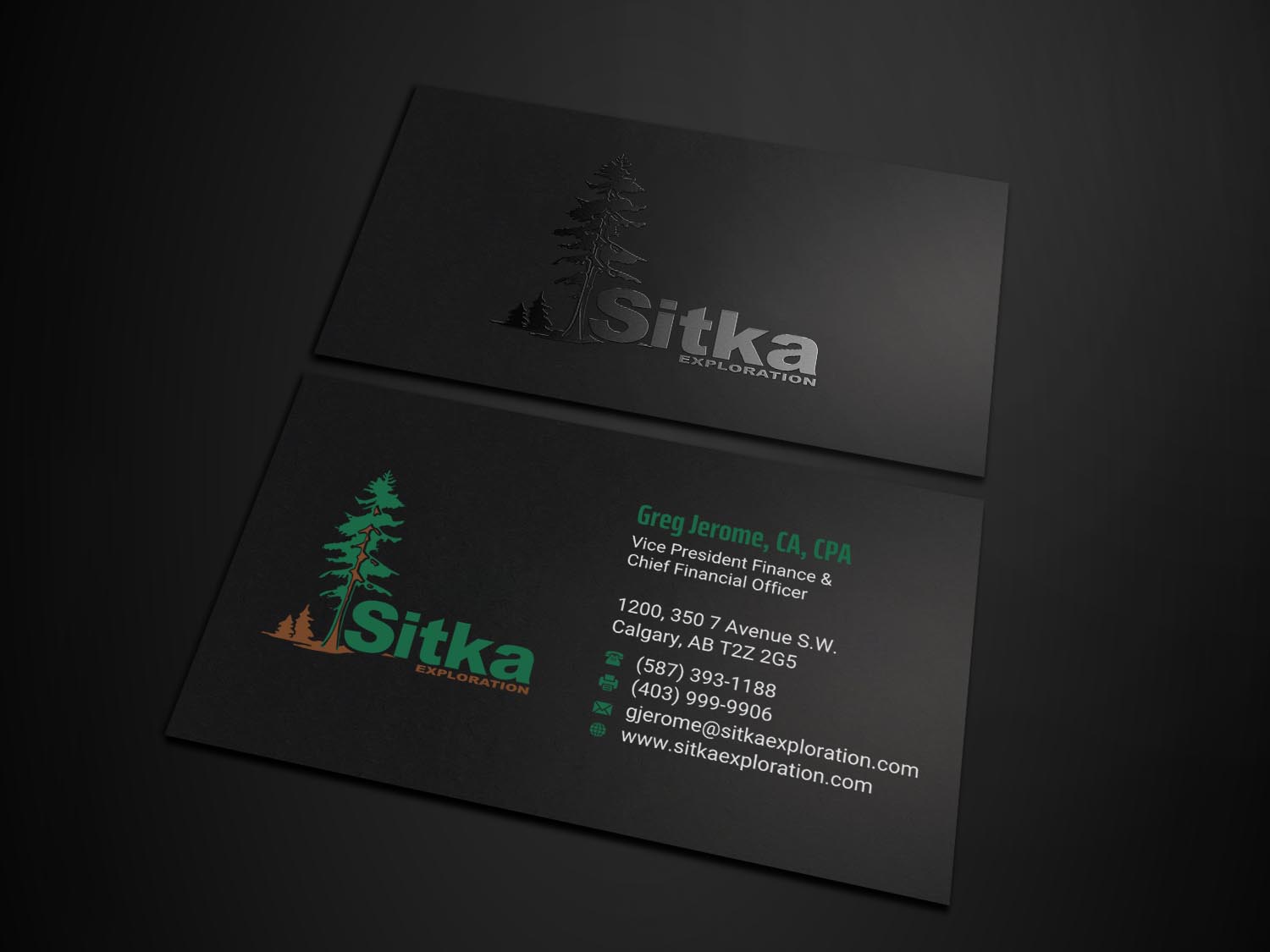 Design de Carte de Visite par INDIAN_Ashok pour Wine Club - Sitka Exploration Ltd. | Design #20351703