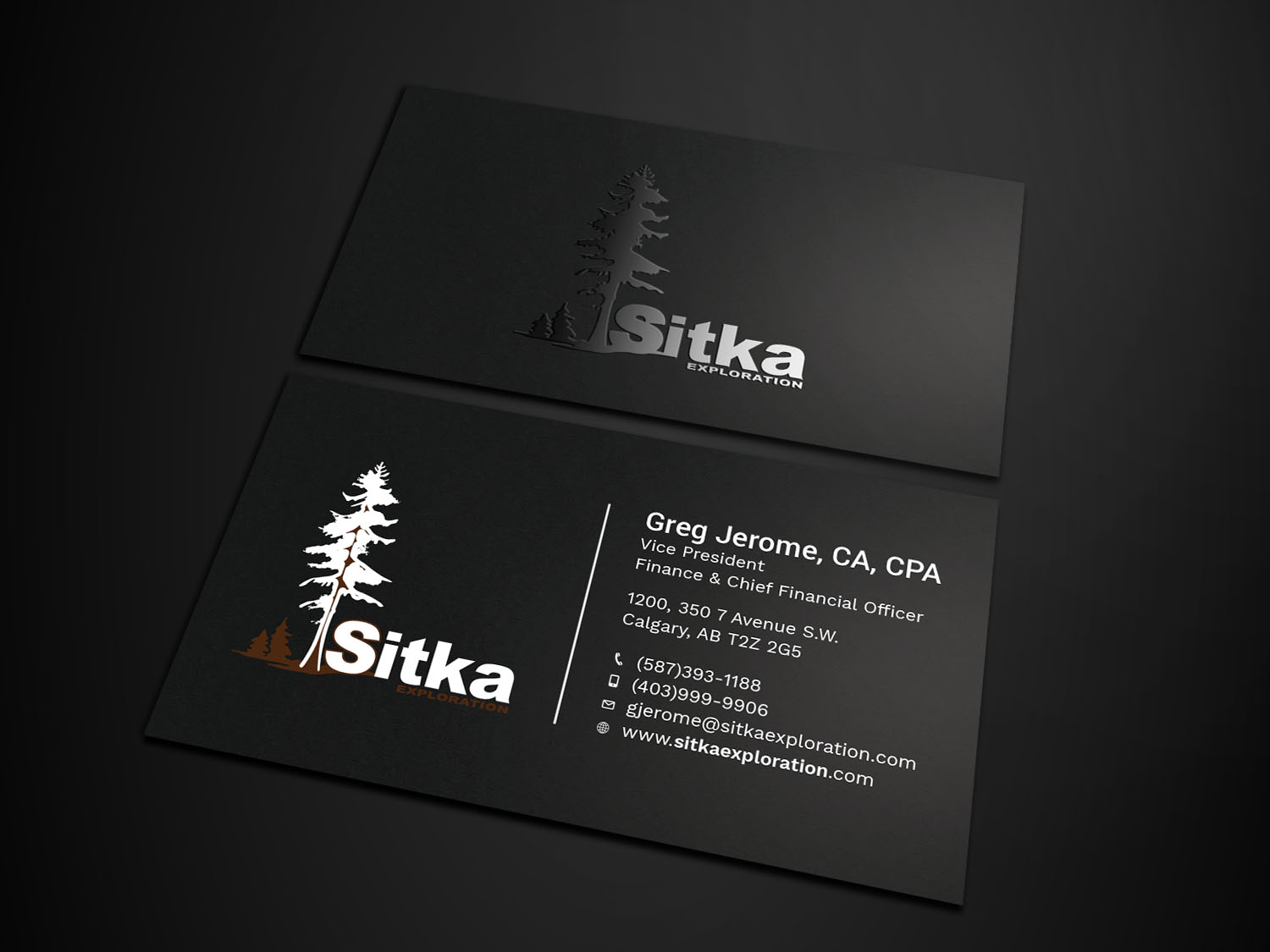 Diseño de Tarjeta de Presentación por Tripti Ranjan Gain para Wine Club - Sitka Exploration Ltd. | Diseño #20348667