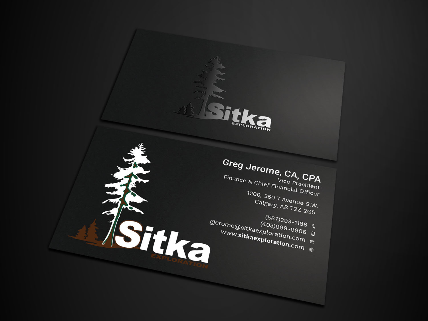 Diseño de Tarjeta de Presentación por Tripti Ranjan Gain para Wine Club - Sitka Exploration Ltd. | Diseño #20348668