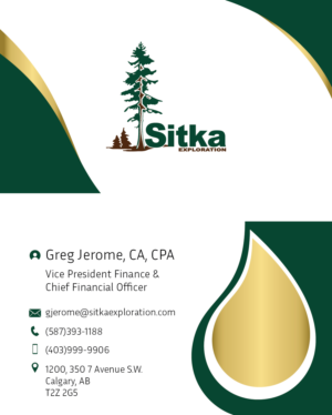 Business Card Design by Inaaina