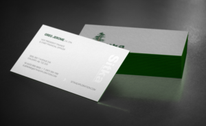 Design de Carte de Visite par logodentity pour Wine Club - Sitka Exploration Ltd. | Design : #20346995