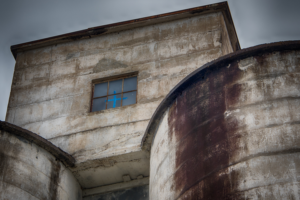 Photography by Manson Nellum