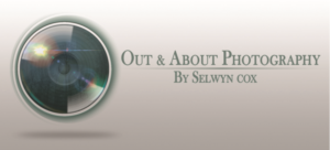 Logo Design by Nordic Designer for out & About Photography | Design #20400857
