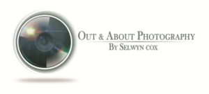 Logo Design by Nordic Designer for out & About Photography | Design: #20400858