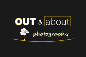 Logo Design by ItalicusDesign for out & About Photography | Design: #20401720