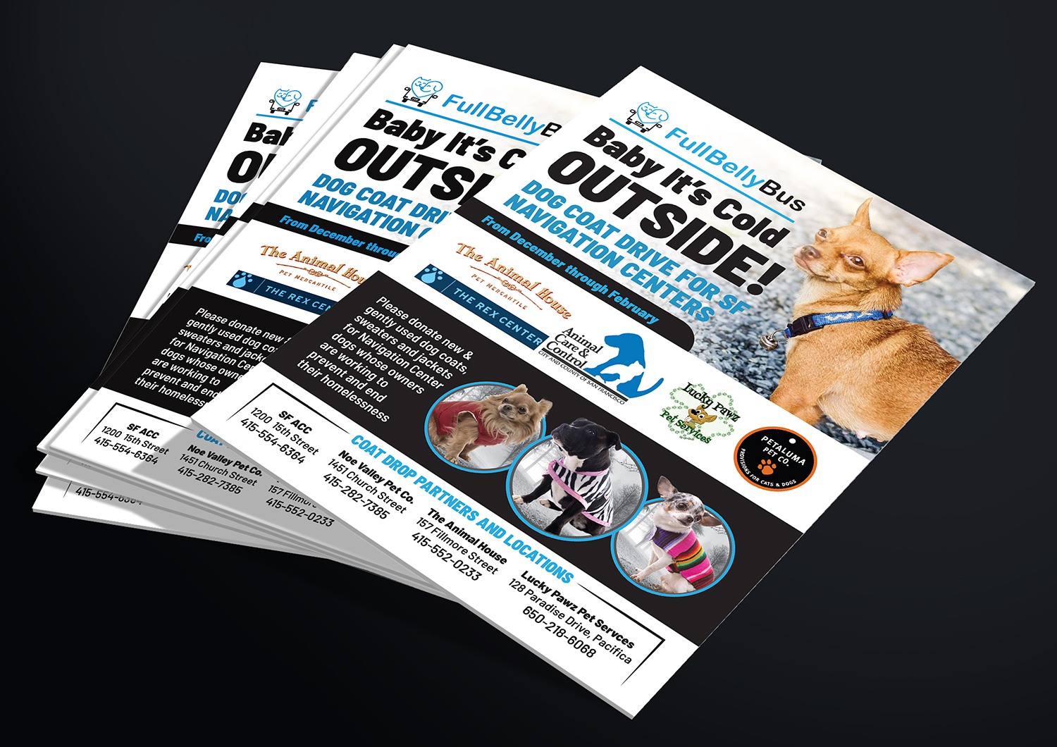 Flyer Design by Deziners Zone for this project | Design #20367090