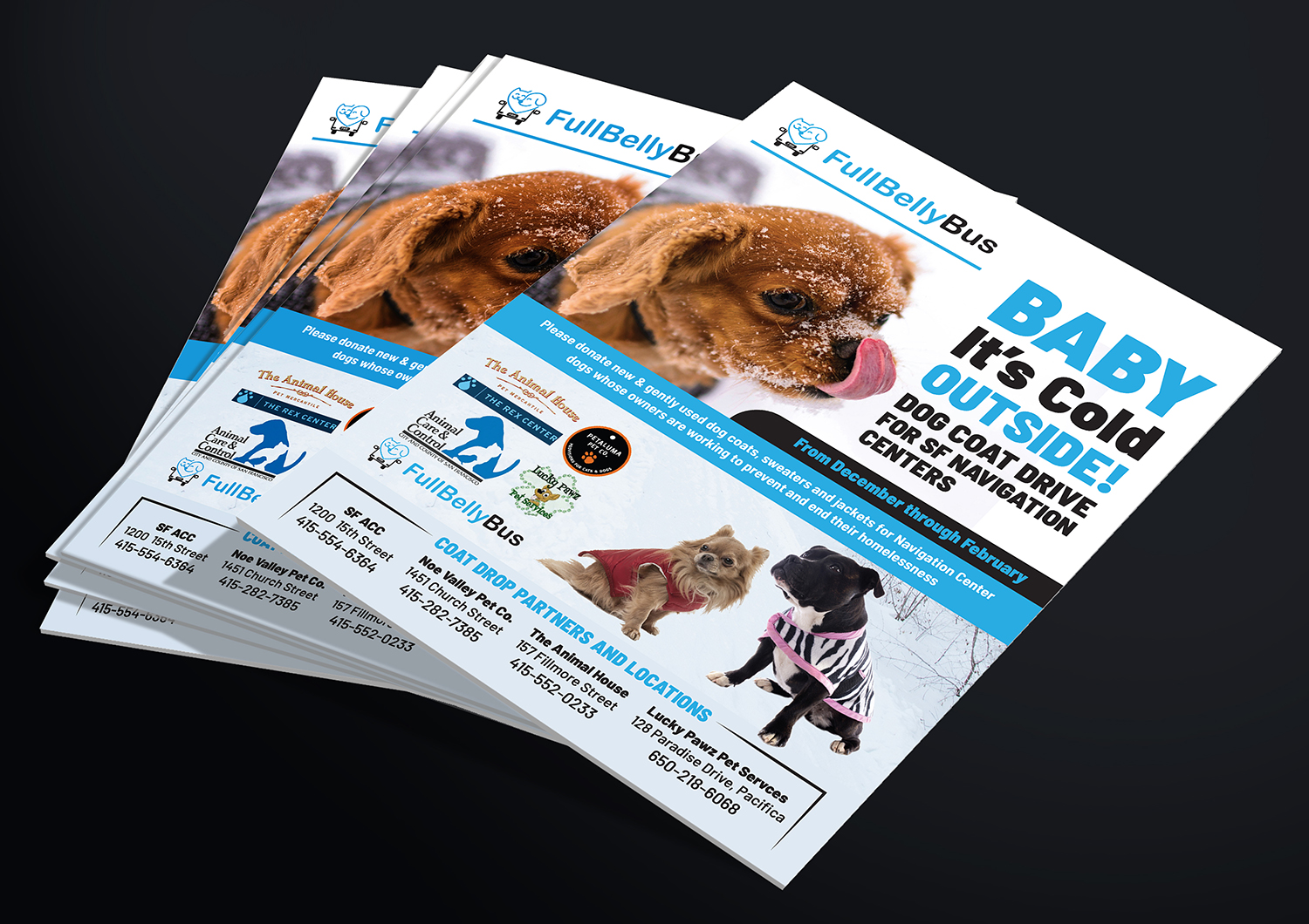 Flyer Design by Deziners Zone for this project | Design #20367091