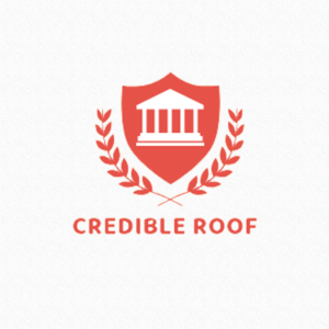 Logo Design by Naqash Ali Awan