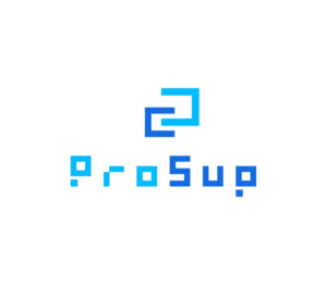 Logo Design by basain 2