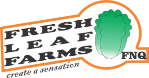 Logo Design by Miftah Abdul Faridz 2