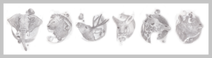 Illustration Design by Katherine Gray Graphic Designer