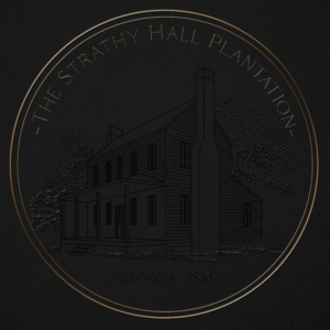 Logo Design by KIVI