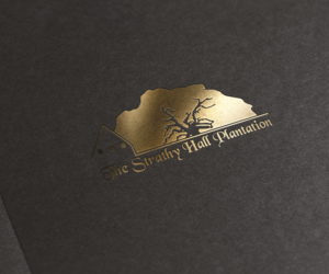 Logo Design by terabi