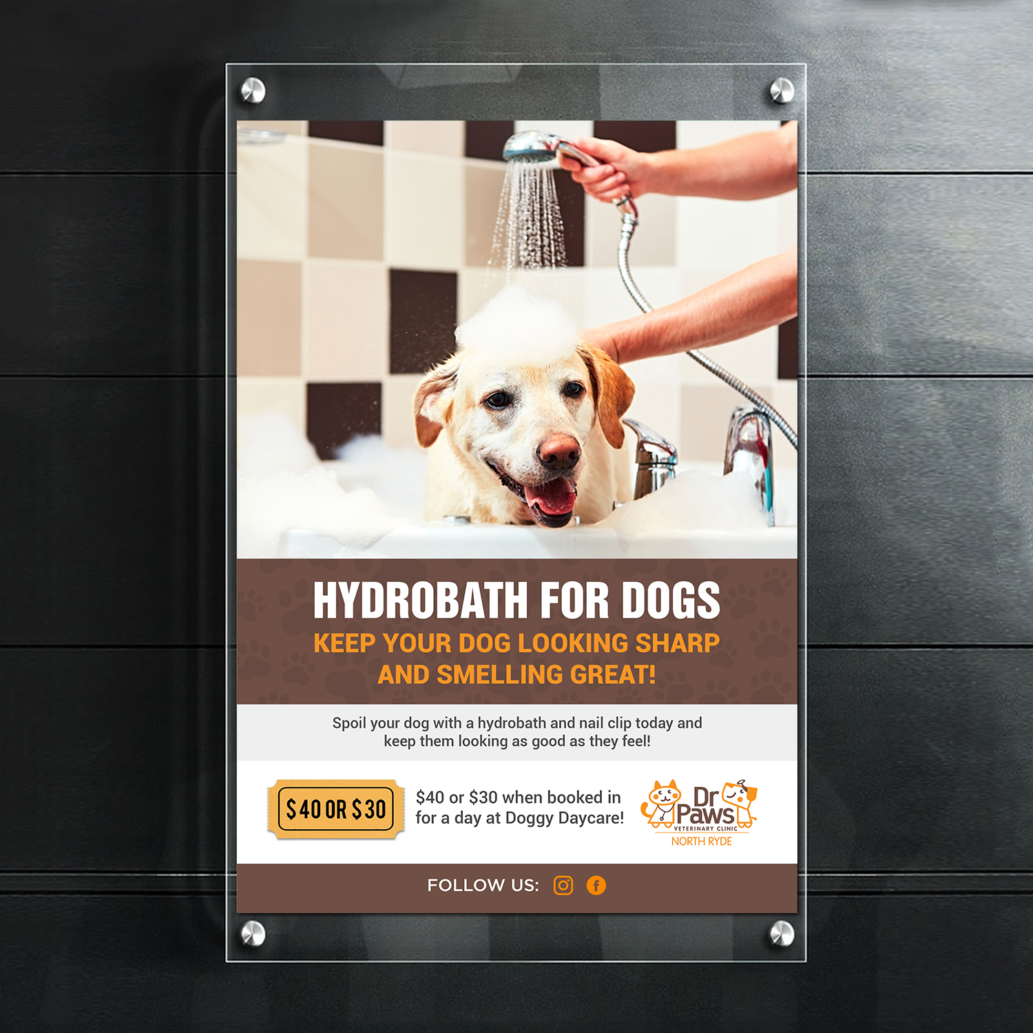 Diseño de Flyer por debdesign para Dr Paws North Ryde | Diseño #20385516
