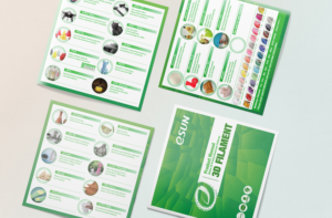 Diseño de Brochure por Deziners Zone para este proyecto | Diseño: #20391577