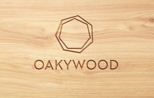 Design de Logo par MV_0 pour ce projet | Design : #20447142