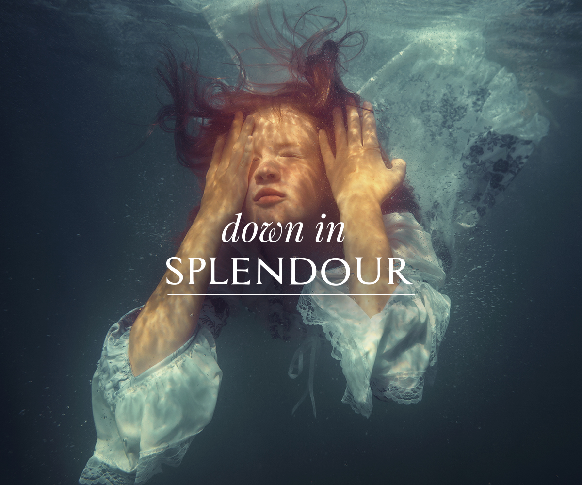 Design de Logo par JACQUI pour Down In Splendour | Design #20450742