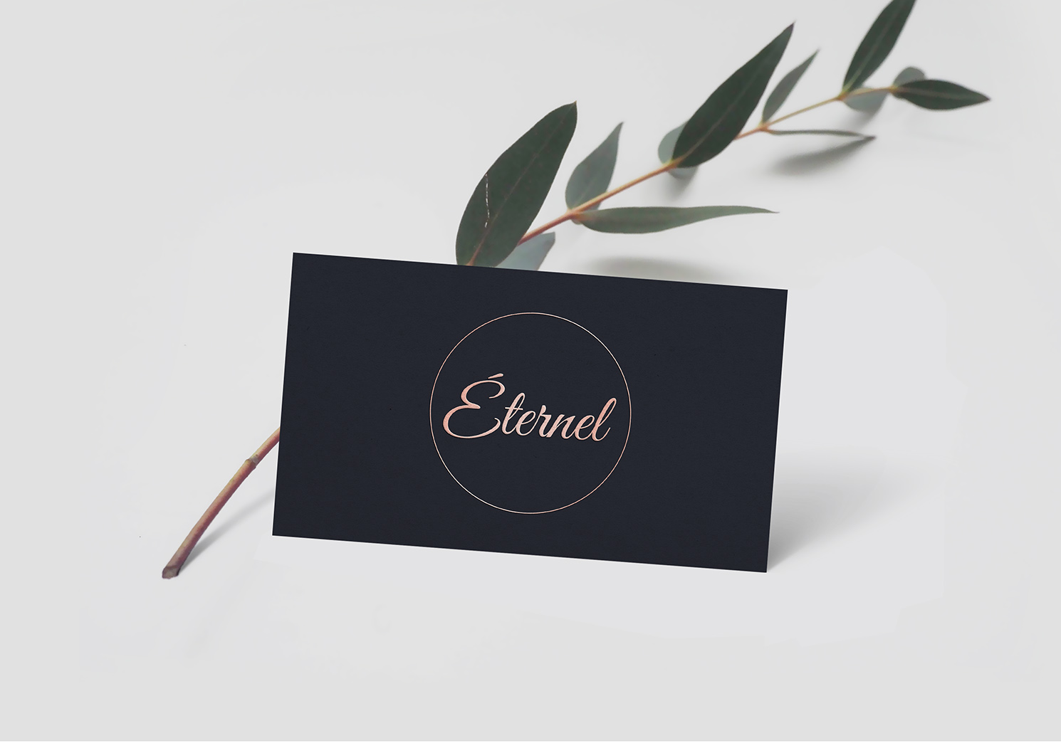 Logo Design by Visifine for this project | Design #20414375