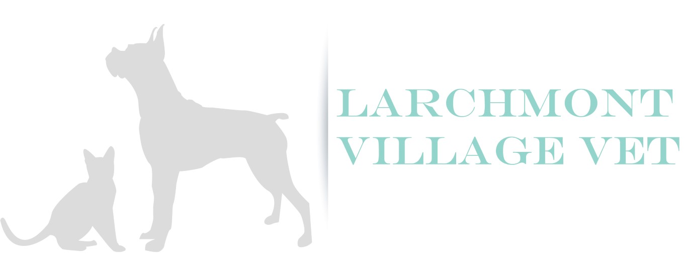 Logo Design by GL for this project | Design #20420735