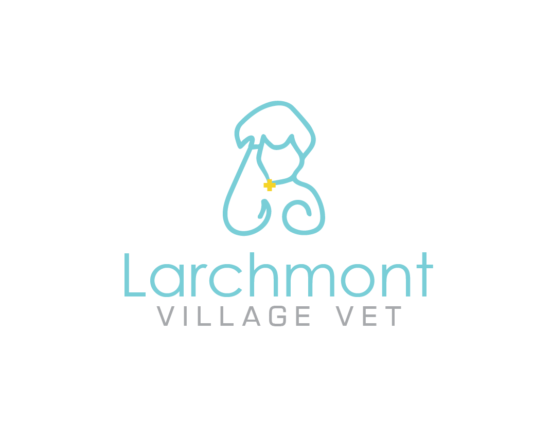 Logo Design by jose_luiz for this project | Design #20466492