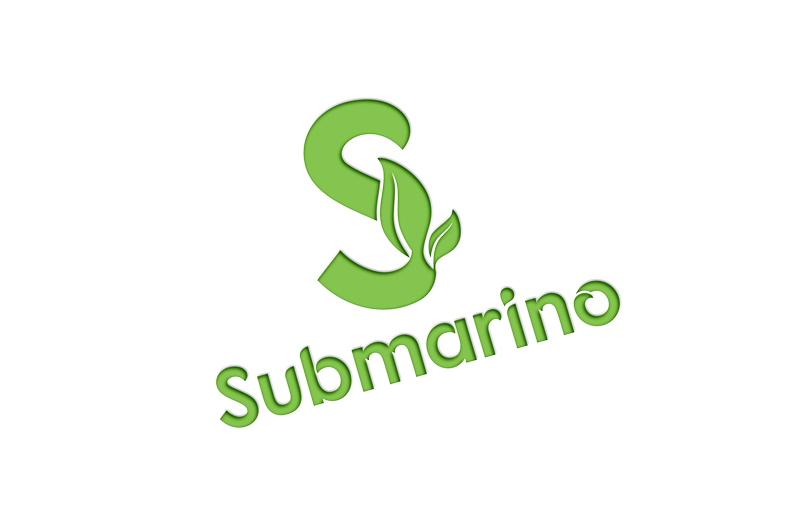 Logo Design by IconicEcho for this project | Design #20428259