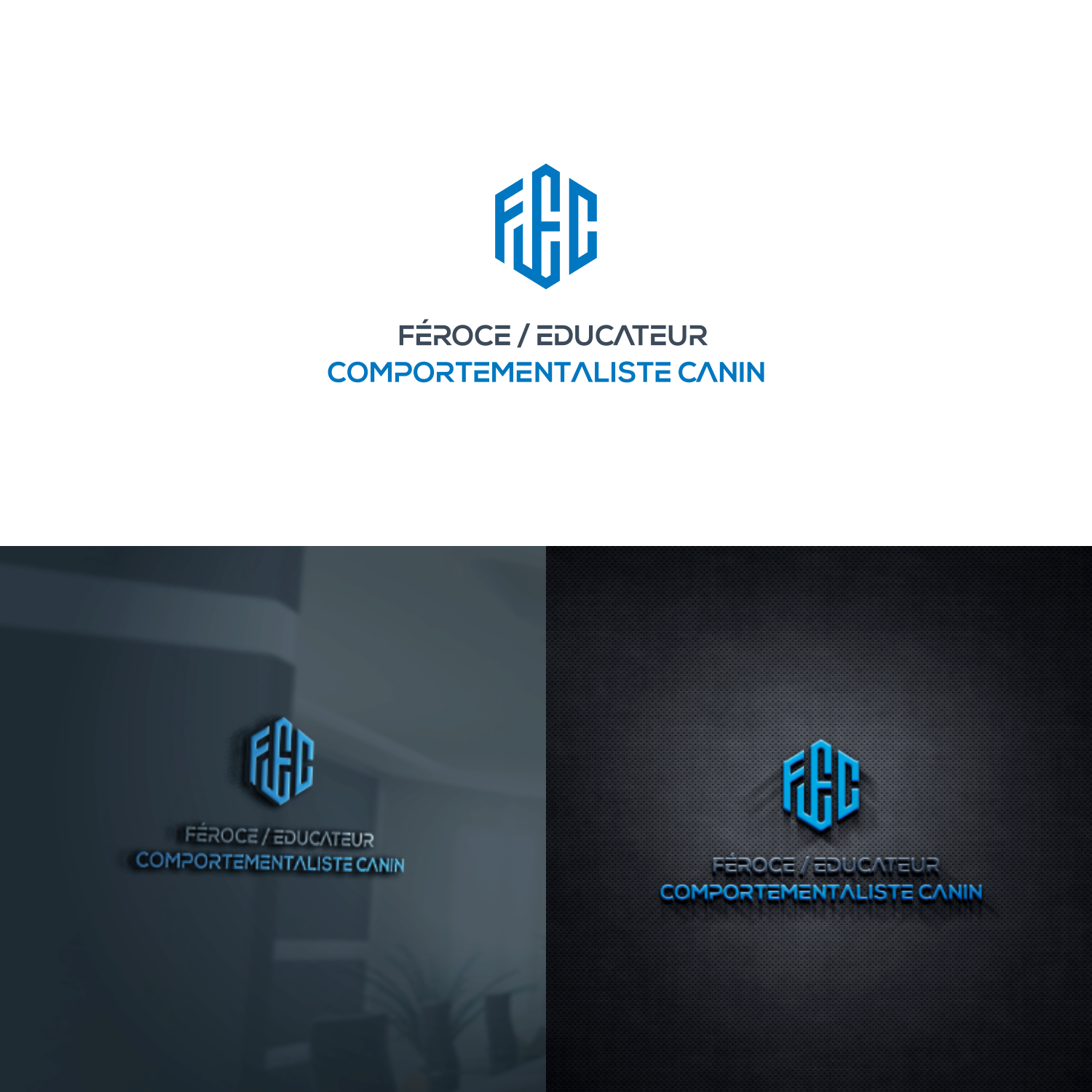 Logo Design by anggun diantorro 2 for this project | Design #20423414