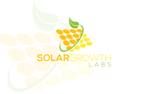Logo Design by Saad Ali Akbar Khan