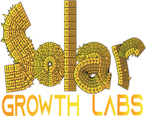 Logo Design by Jecu770 for Leadbotz | Design: #20466829