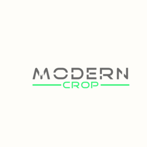 Logo Design by Murry