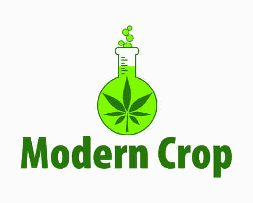 Logo Design by krix.designer for this project | Design #20481751