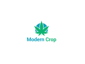 Logo Design by Gemini Geeks
