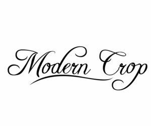 Logo Design by Aulia12
