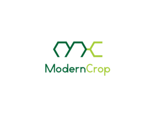Logo Design by Na Na