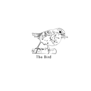 Logo Design by Ranjeete