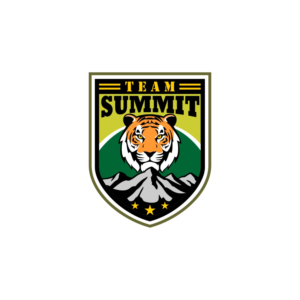 Team Summit or Summit Team  | Logo Design by ddnsycrowd
