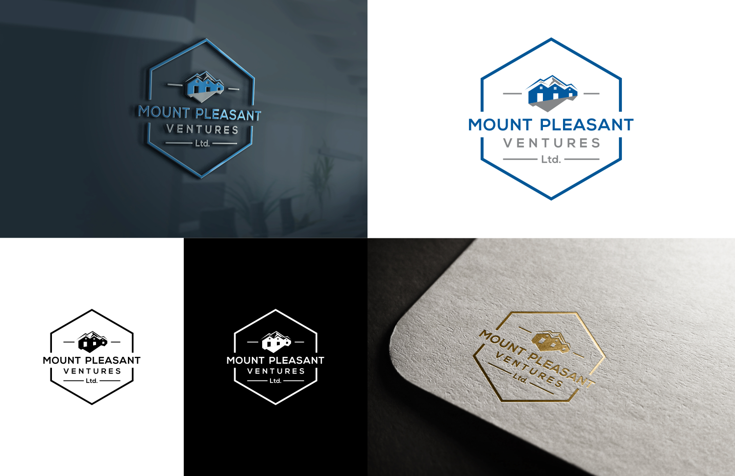 Logo Design by art0_MORO for Mount Pleasant Ventures, Ltd. | Design #20436280