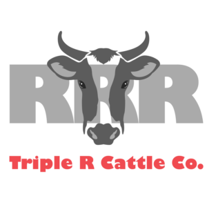 Logo-Design von Lana1 für dieses Projekt | Design: #20445668