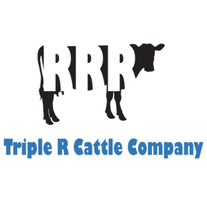 Logo-Design von Lana1 für dieses Projekt | Design: #20445669