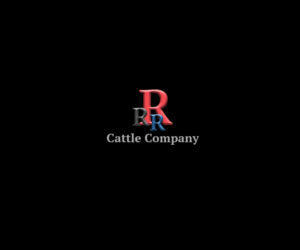 Logo Design by Madushka86 for this project | Design: #20450857