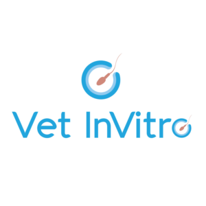 Logo Design by Dicreativo