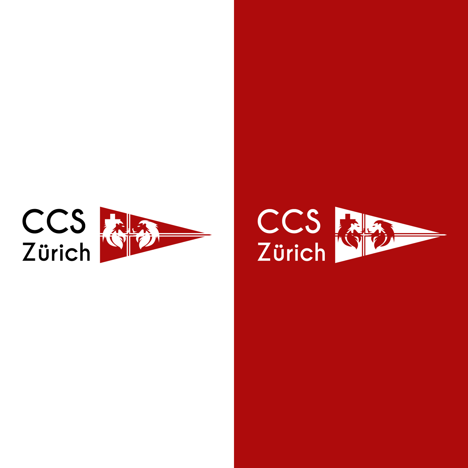 Logo Design by bcerblin for this project | Design #20438996