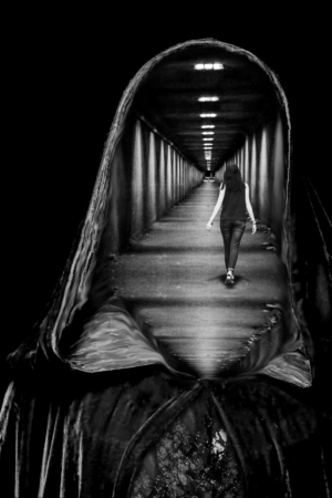 Poster Design by SHITHILA for this project | Design: #20603669