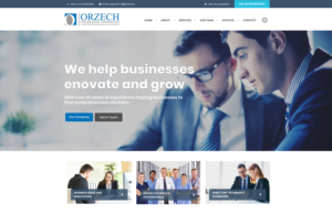 Web Design by Expert Designer