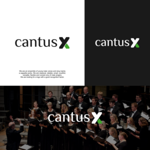 Logo Design by Bearry
