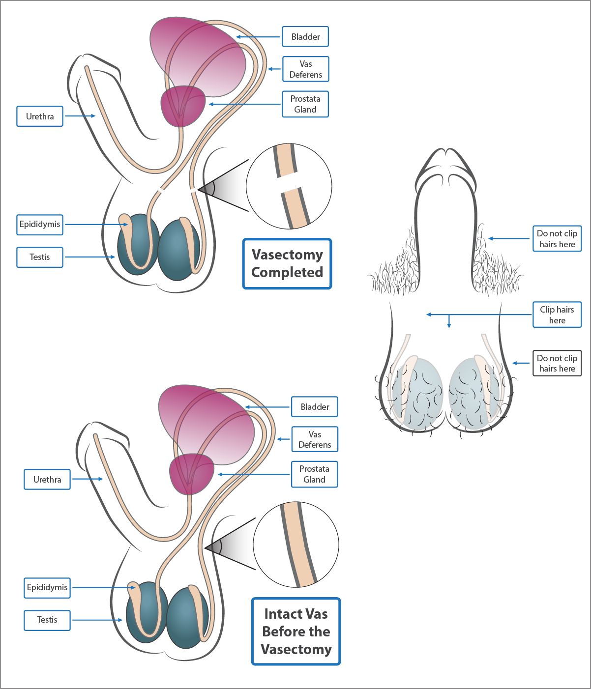 Grafik-Design von noubigh für dieses Projekt | Design #20467193