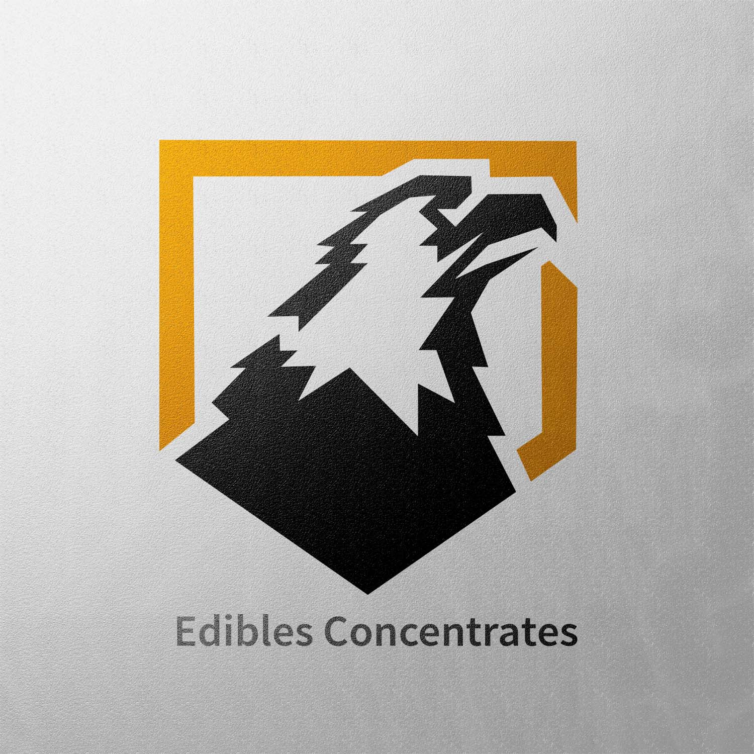 Diseño de Logo por NiXY1998 para LifeRep | Diseño #20462066