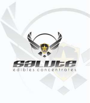 Logo Design by Banyu Biru
